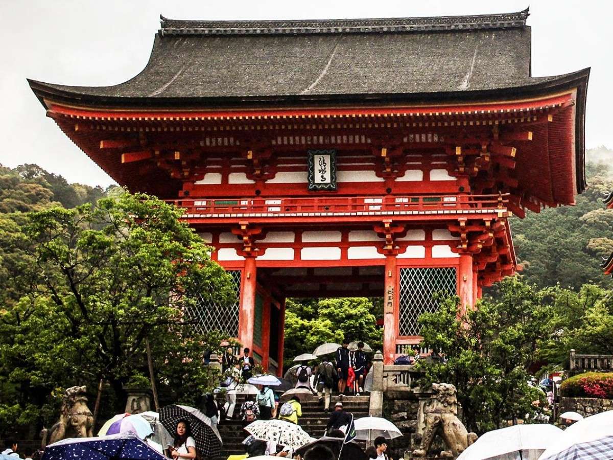 Experience the traditional tea ceremony and savor Japanese culture