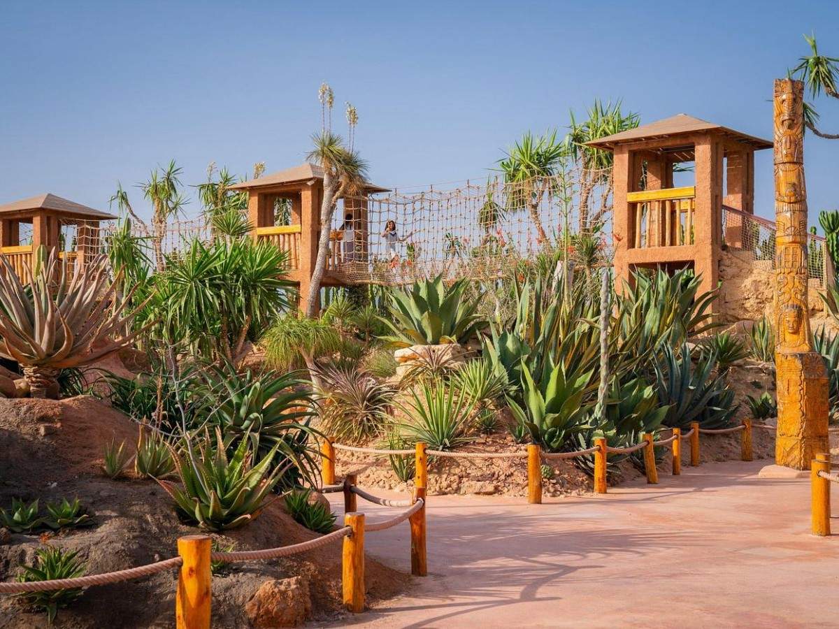 Five theme gardens, children can learn while playing, and parents can relax