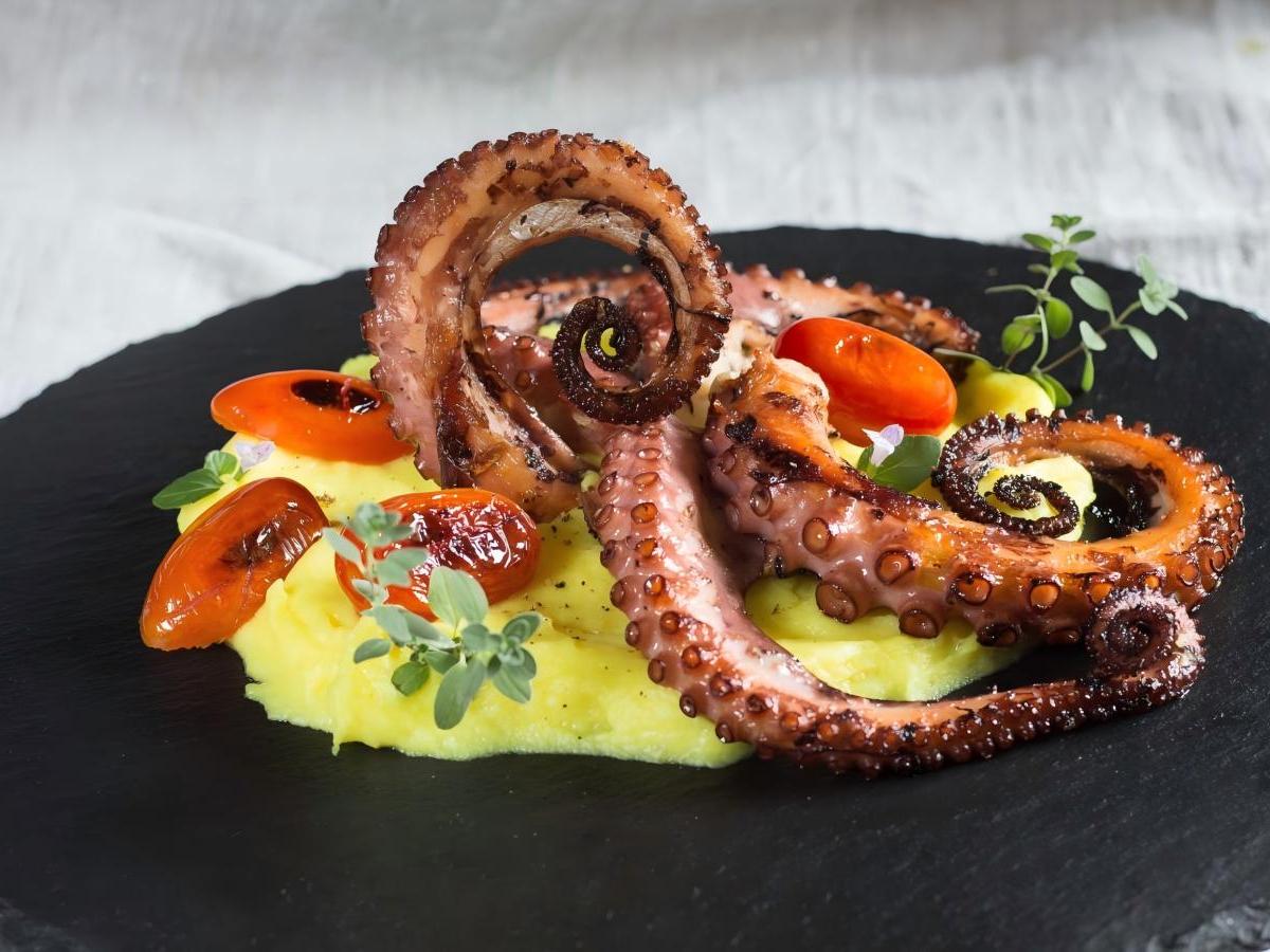 Manta Culinary Journey on the Tip of Your Tongue