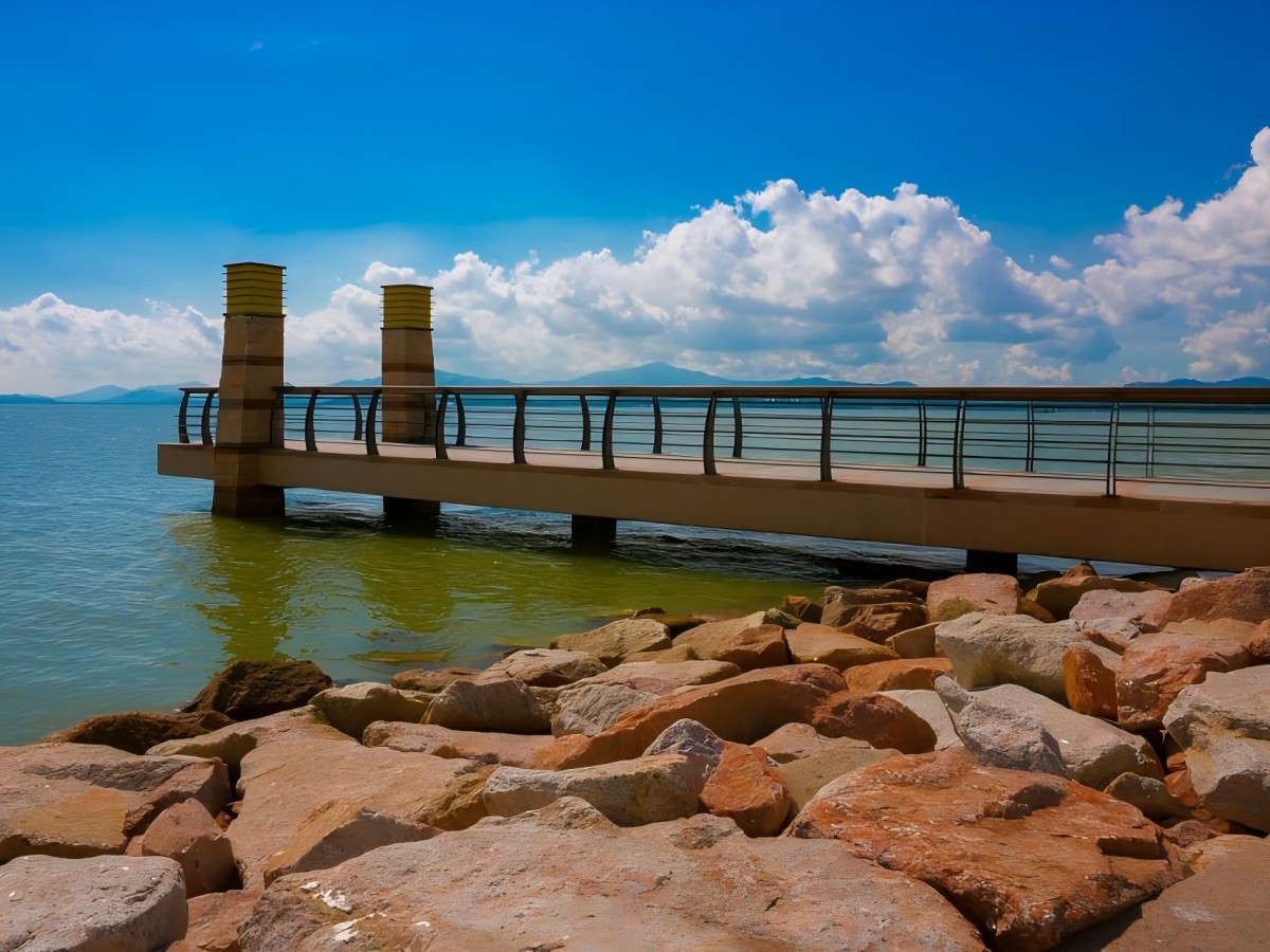 The Birth of Shenzhen Bay Park