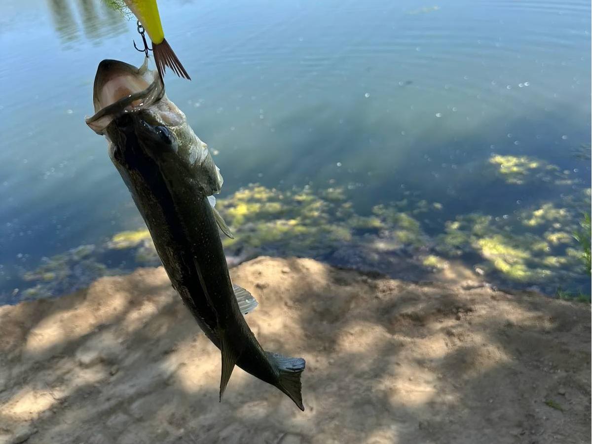Fishing Experience