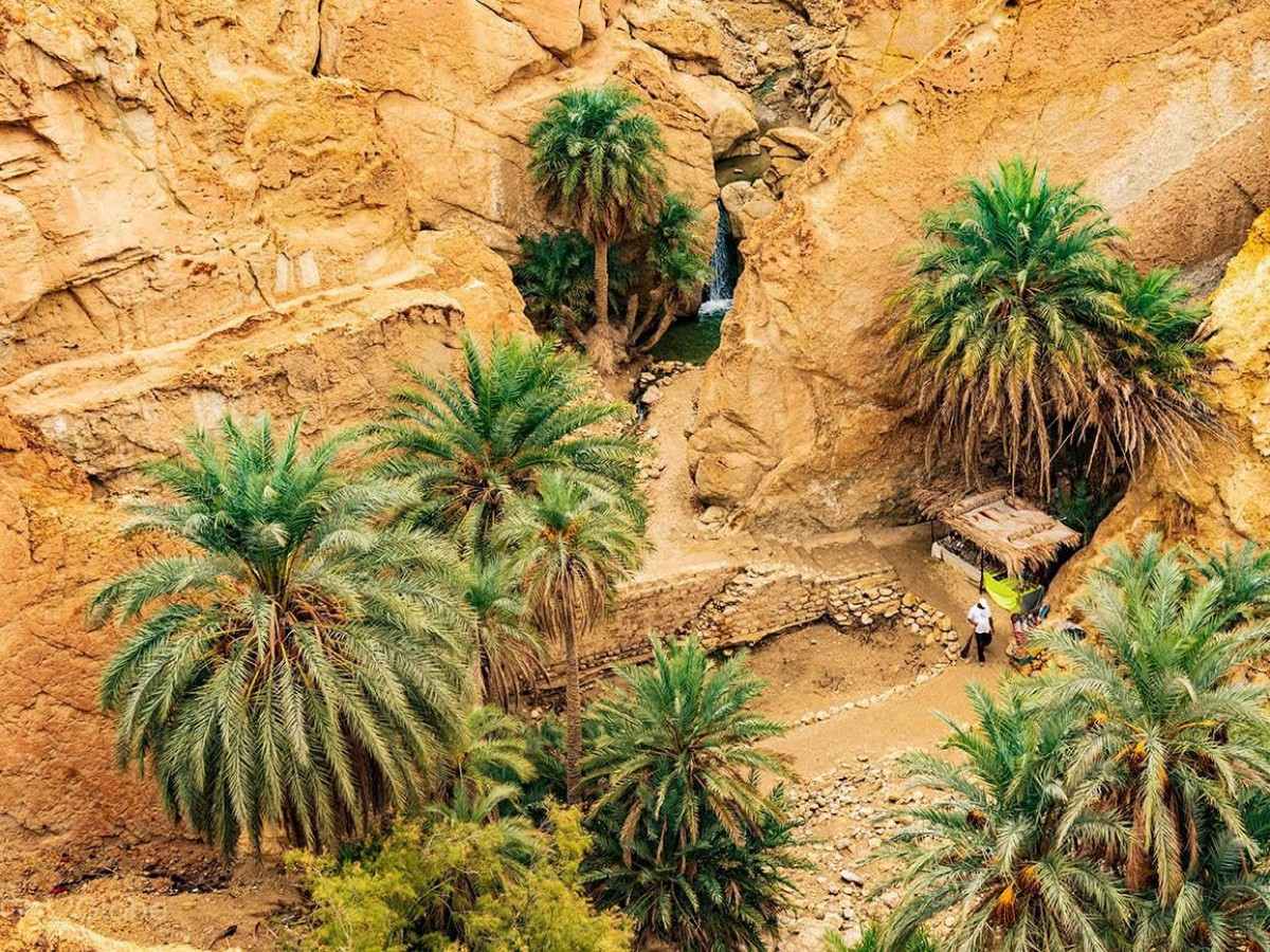 Afternoon: Palm leaf weaving and desert handmade economy