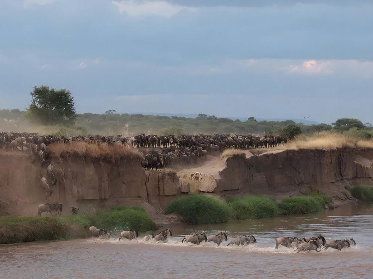 Timing of the migration