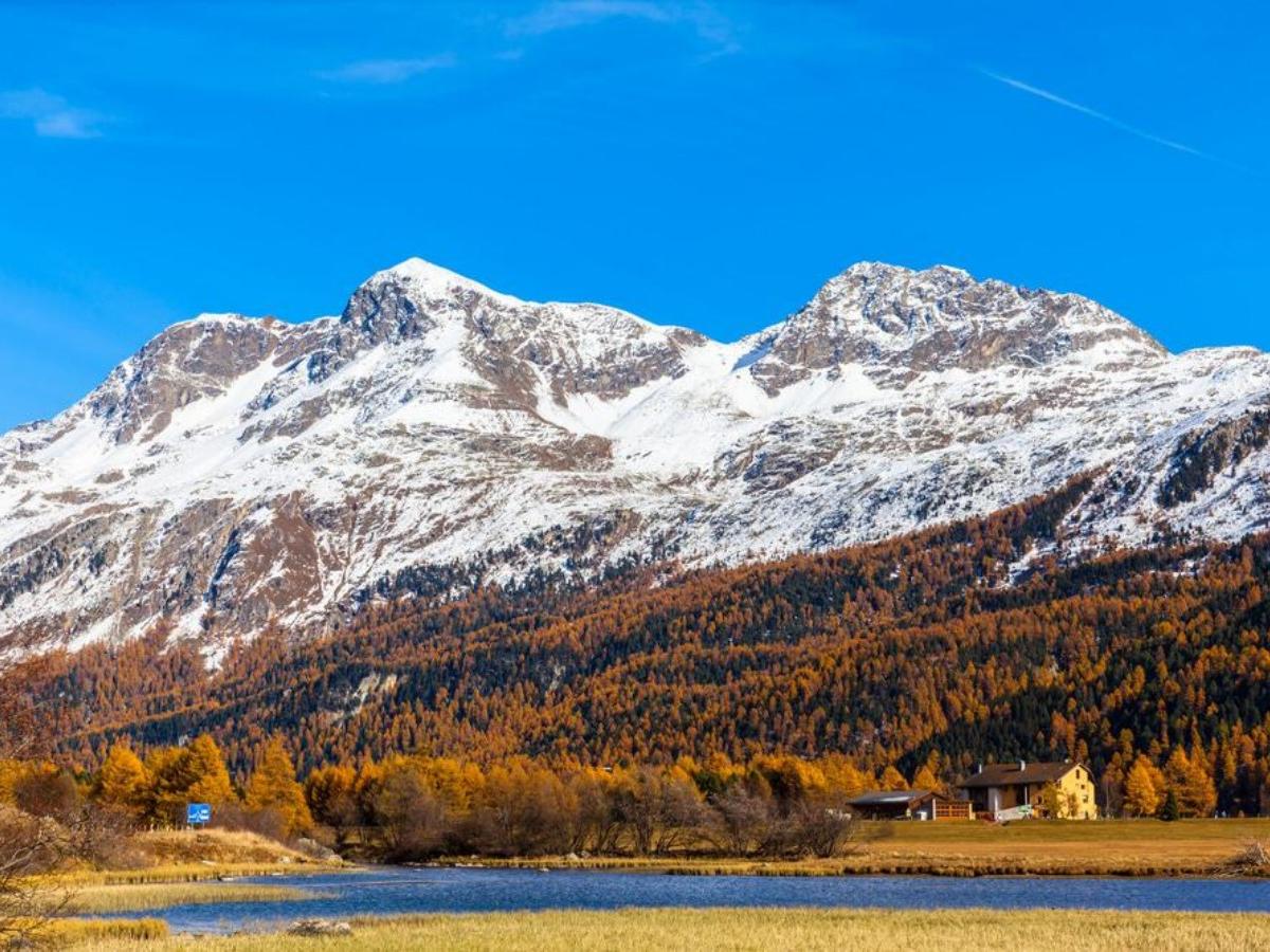 Autumn: Golden and Autumnal Rhythm