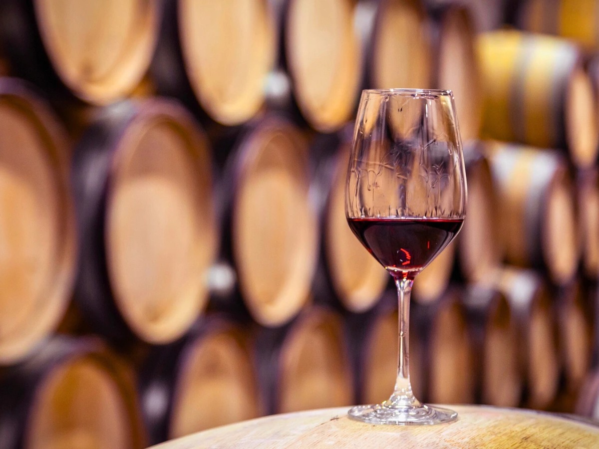 Entering the Port Wine Cellar: Intoxicated by Oak Barrels