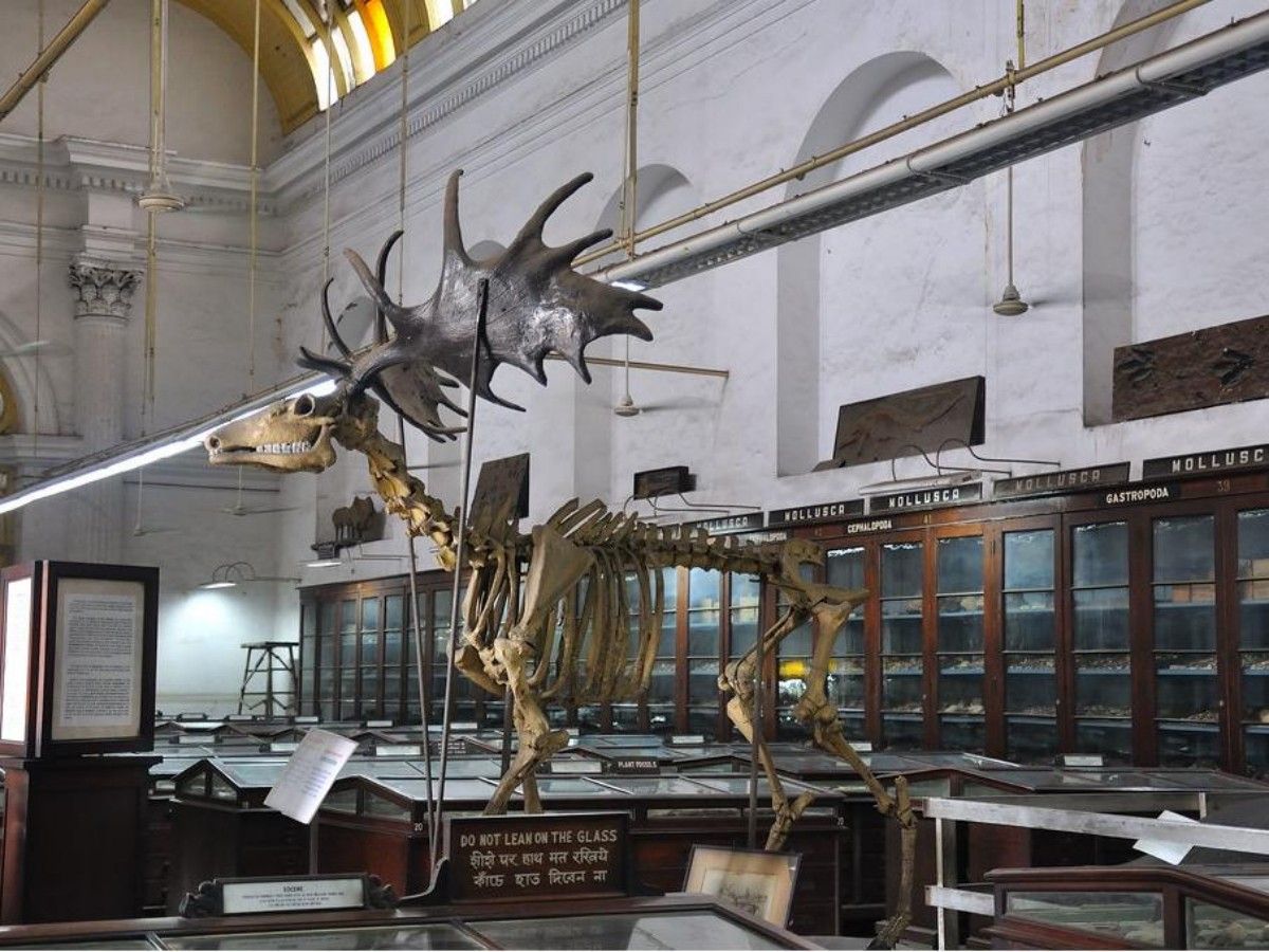 The Wonderful World of Museums