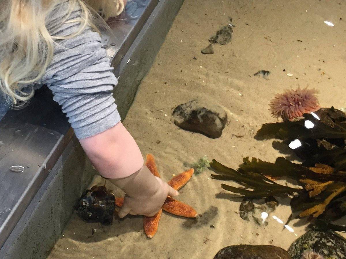 More than just "touch": rich ecological displays and guided tours