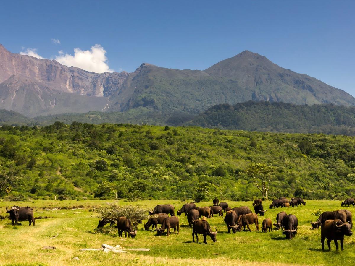 Transportation and travel: the way to save money on the road of poor travelers