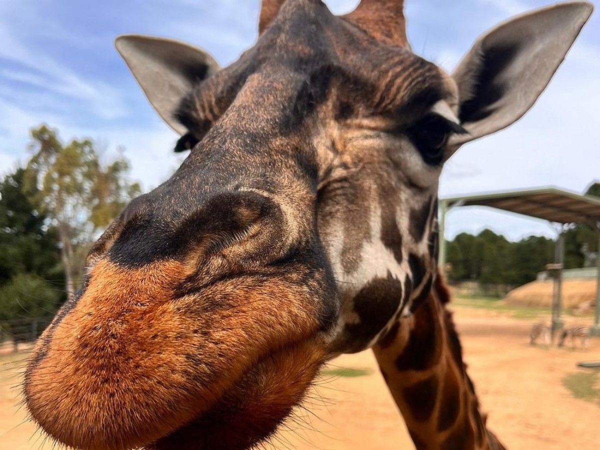 The Unique Charm and History of the National Zoo and Aquarium