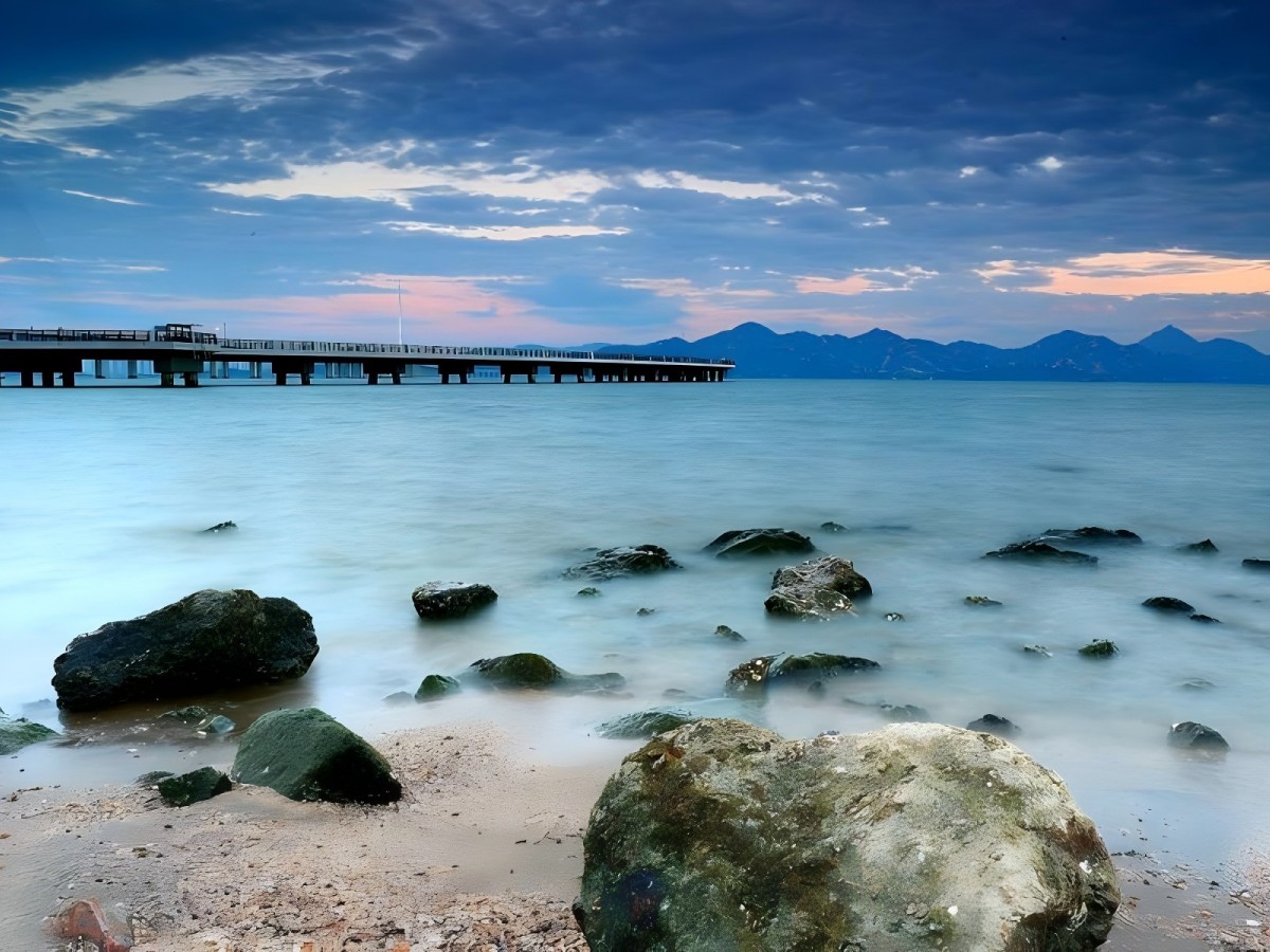 The Role of Shenzhen Bay Park in City Life