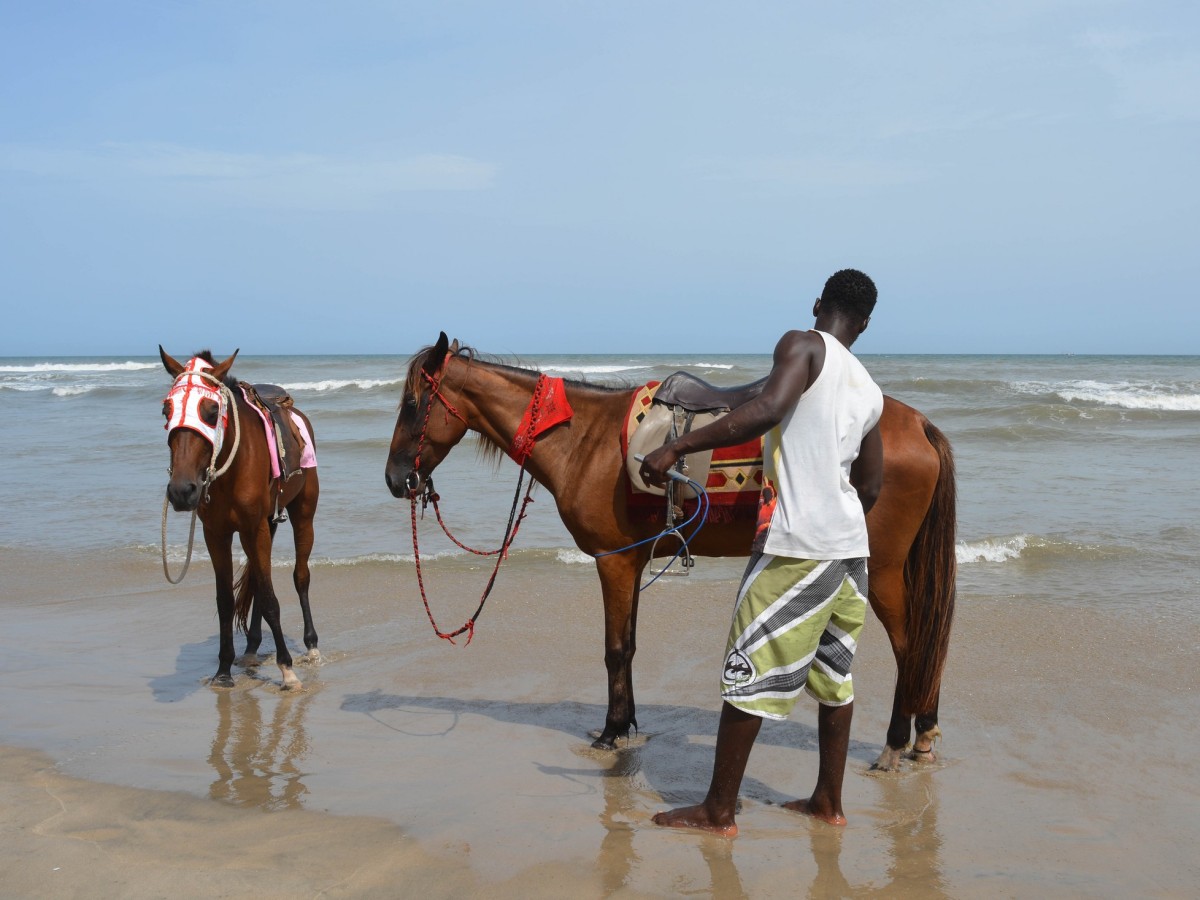 Horseback riding: Get in close contact with nature and enjoy the sea breeze while riding