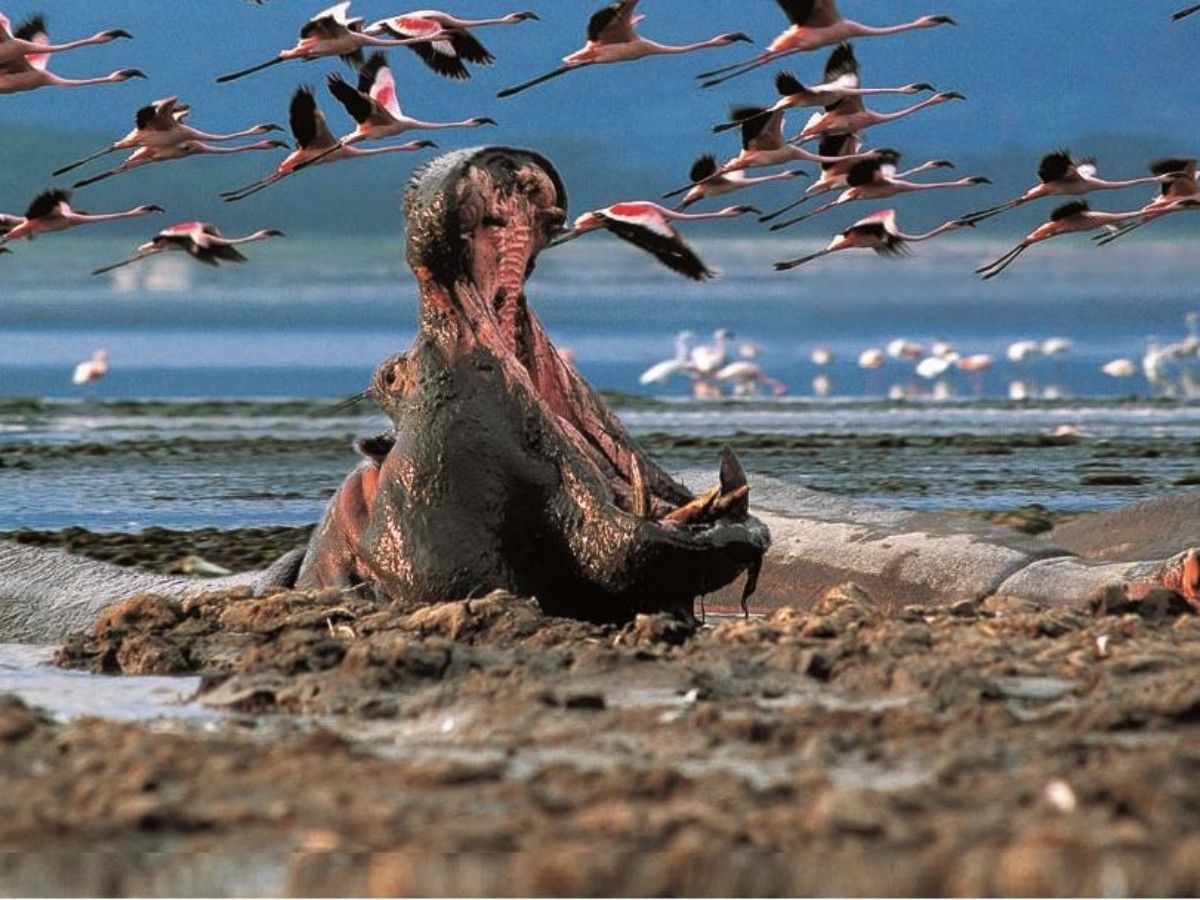 Nature-oriented “minimalist” style