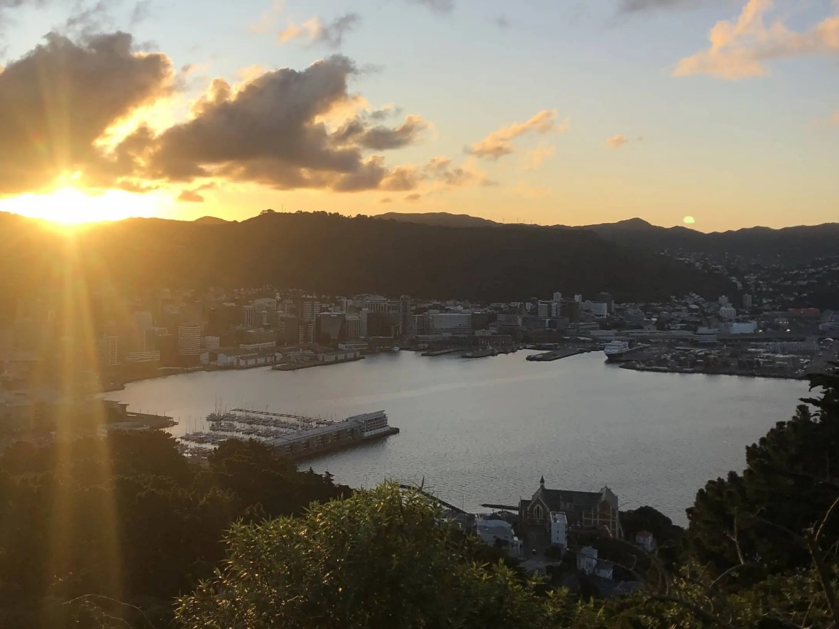 Tour Tips: How to better experience Mount Victoria