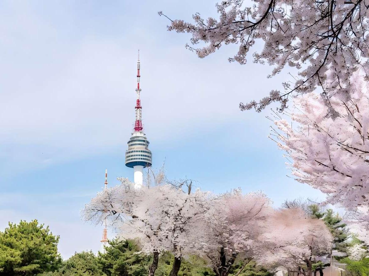 Overview of Namsan Tower: A Perfect Blend of History and Modernity