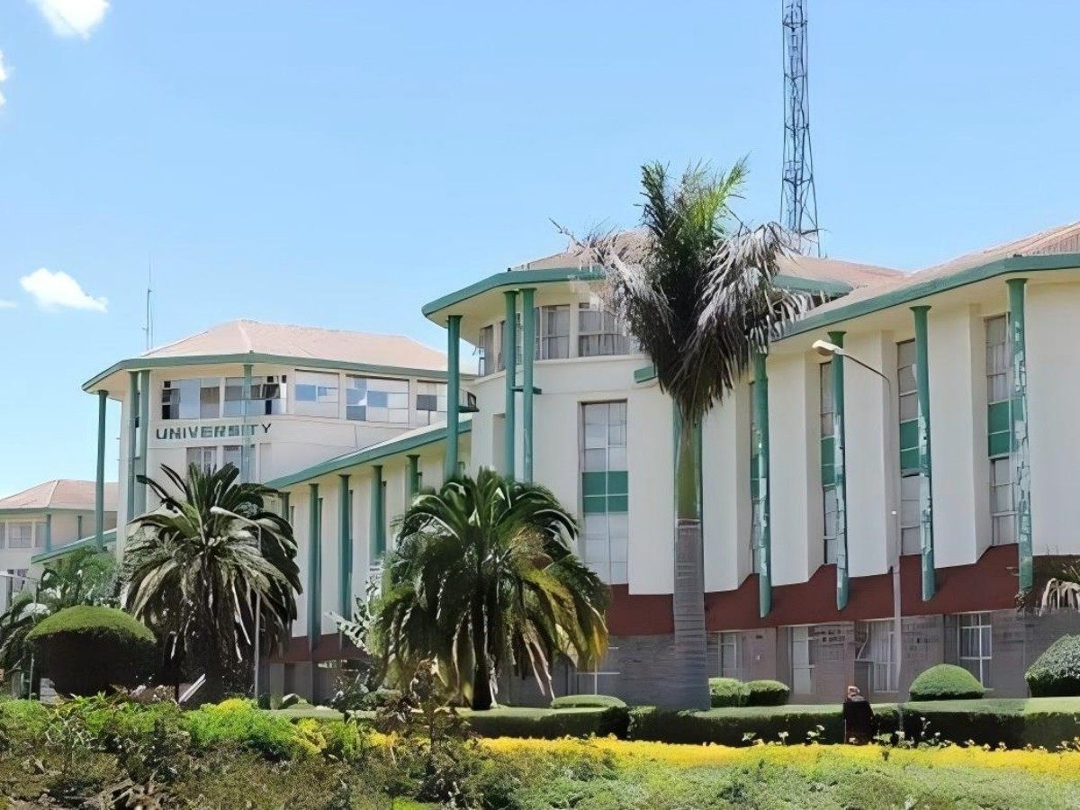 1. Transportation Tips: N Ways to Get from the City Center to the Academic Palace
