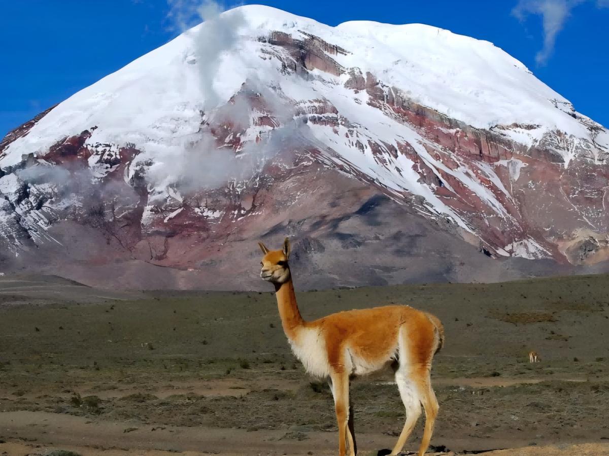 Hiking routes and challenges