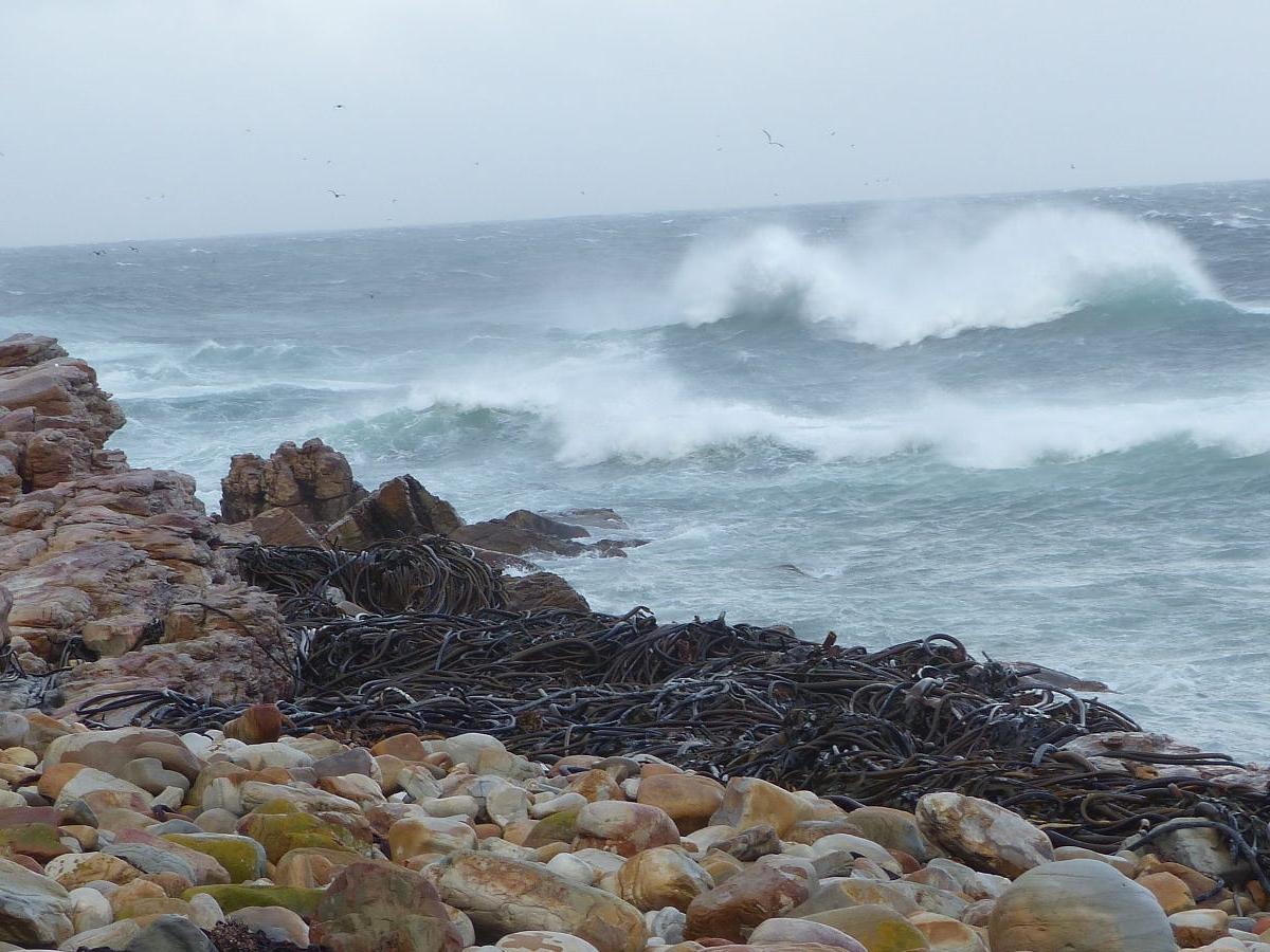 Coastal Scenery