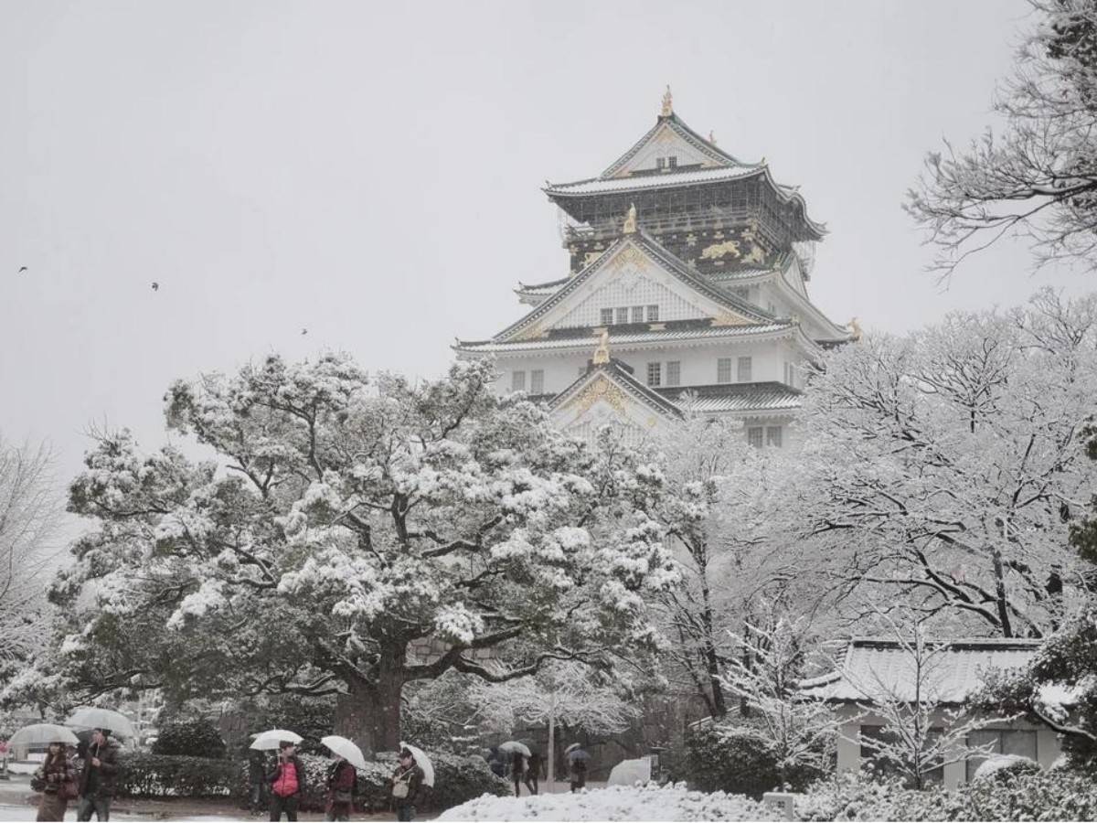 Winter: Lighting Exhibitions and Festivals