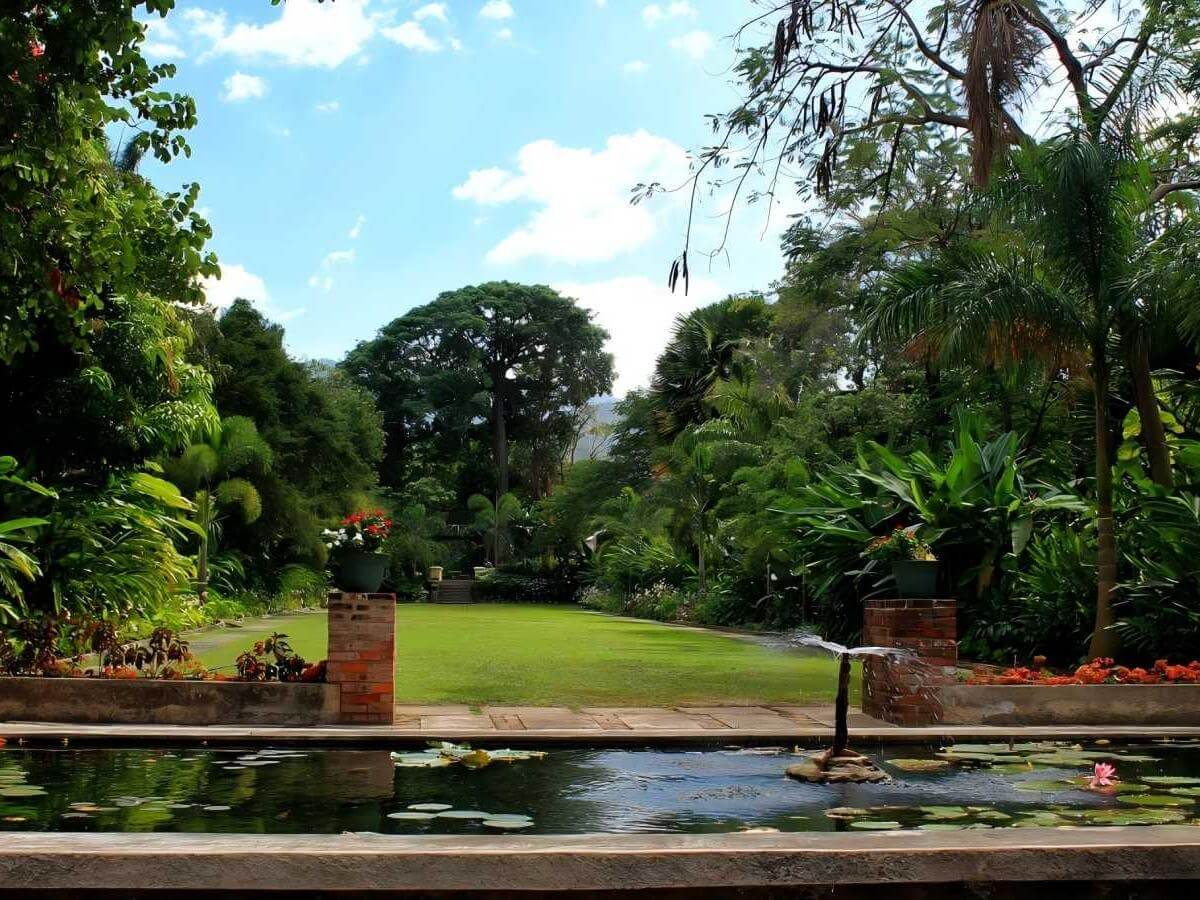 Trace the history of Hope Gardens