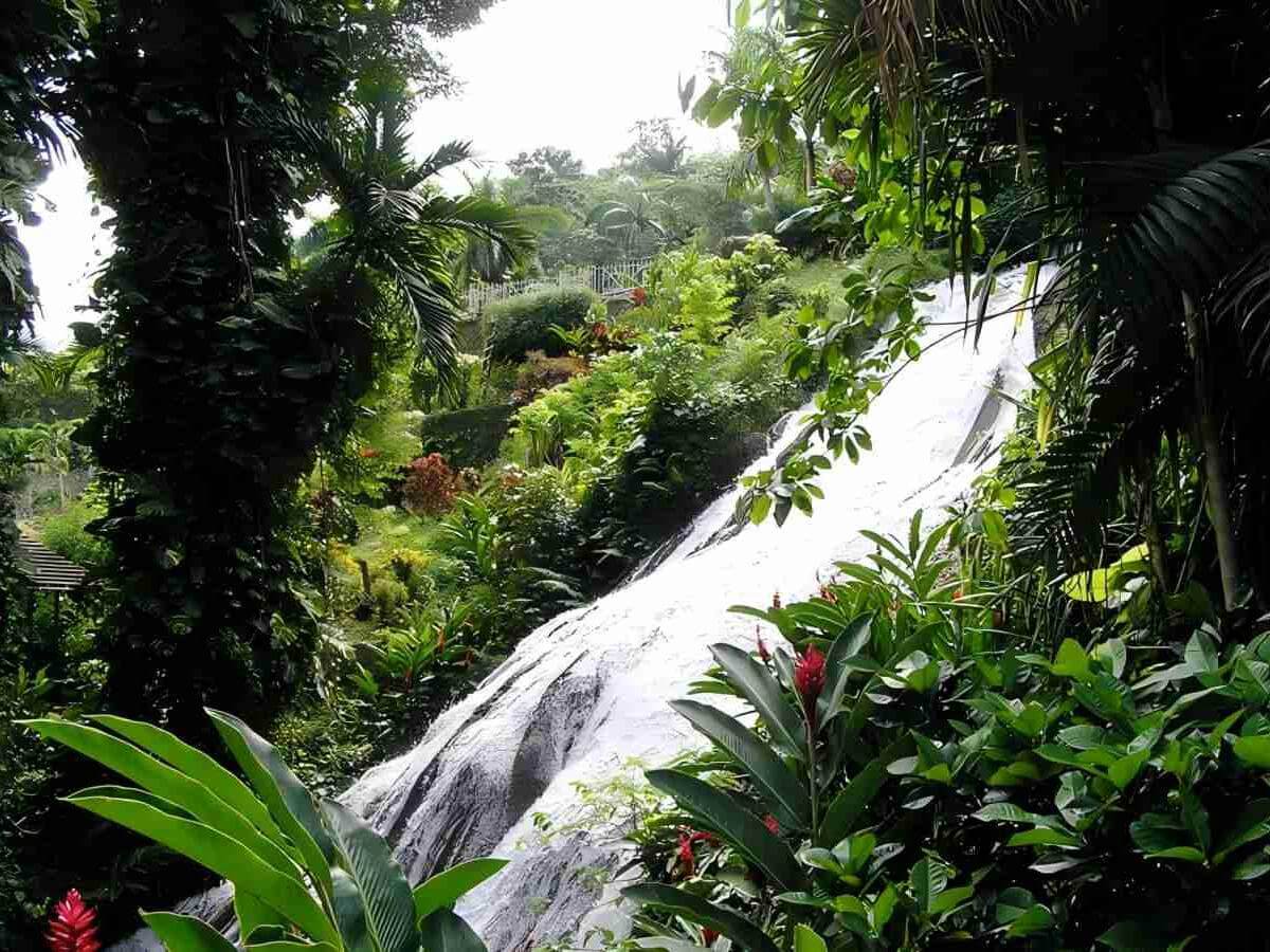 Ecological Protection, Protecting Green Homes