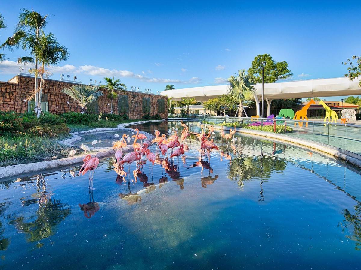 What to see at Zoo Miami