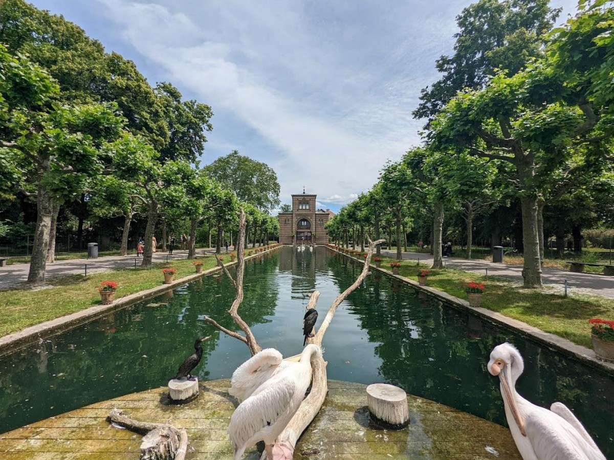In-depth experience: How to have more fun than ordinary tourists?