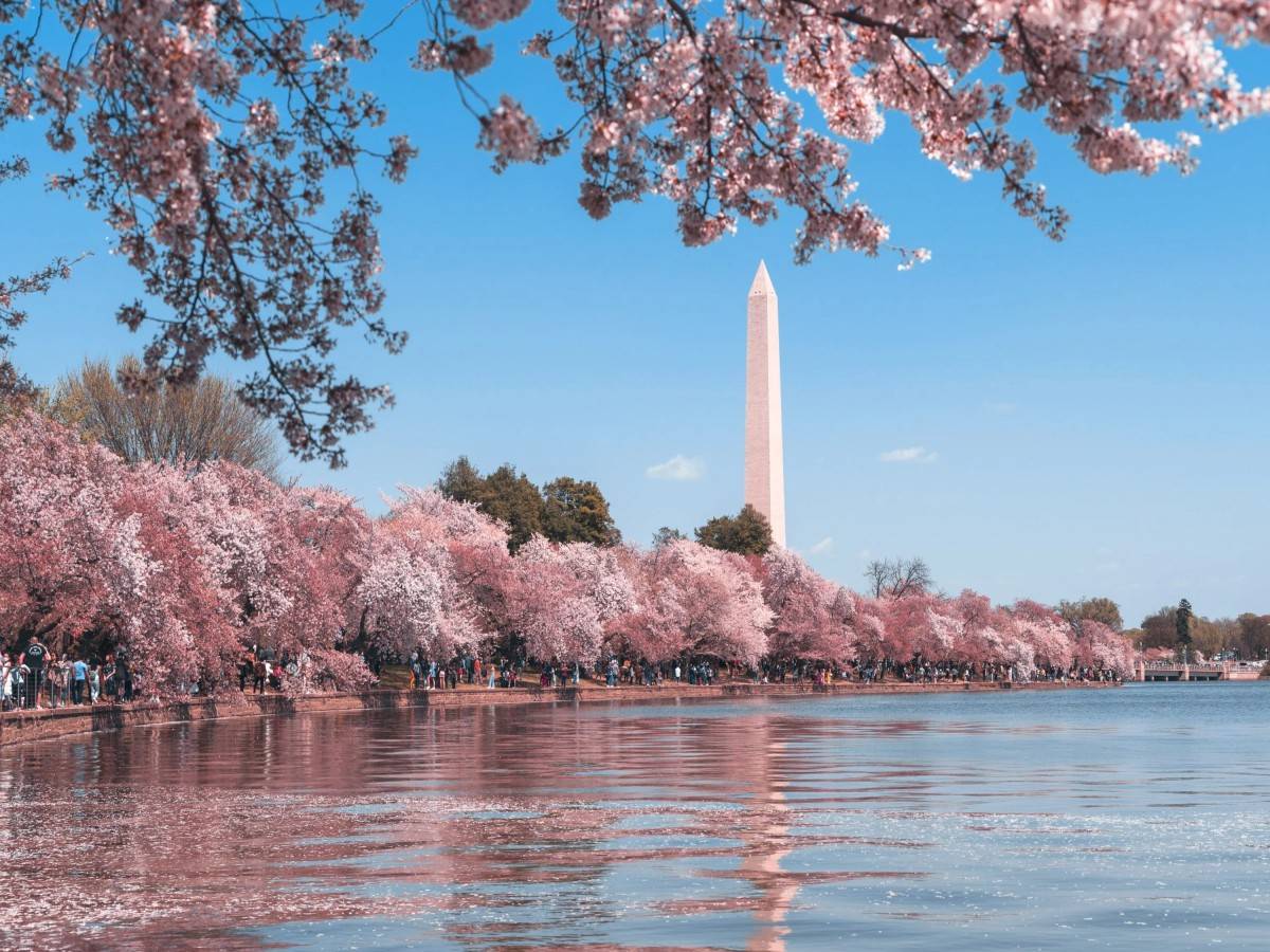 Special events and cultural experiences at the monument