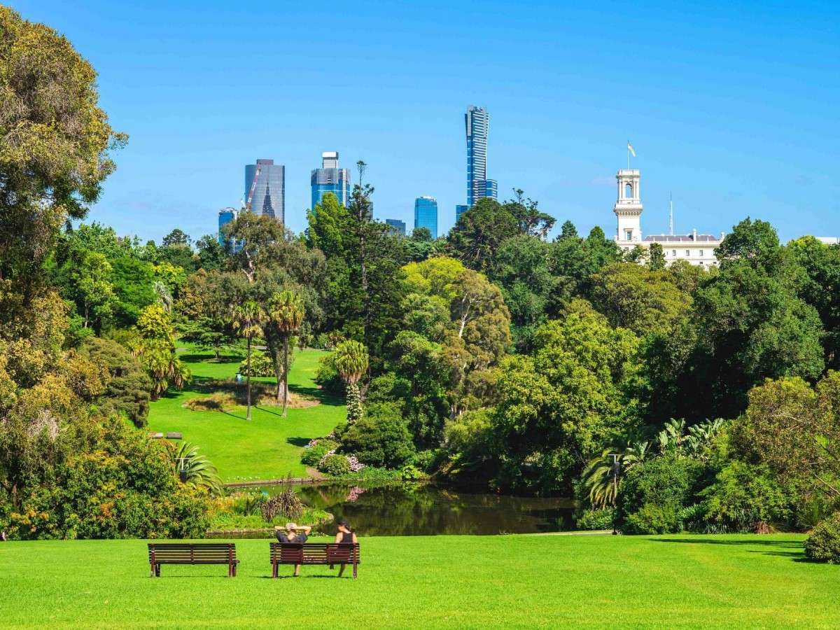 Morning tips for the Royal Botanic Gardens