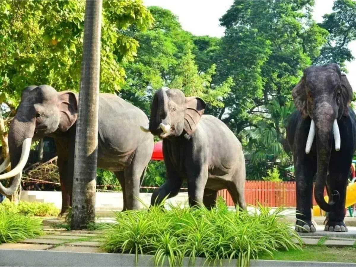 The Warm Embrace of Thailand's King Elephants – Experience the Power and Tenderness of Thailand's National Treasures