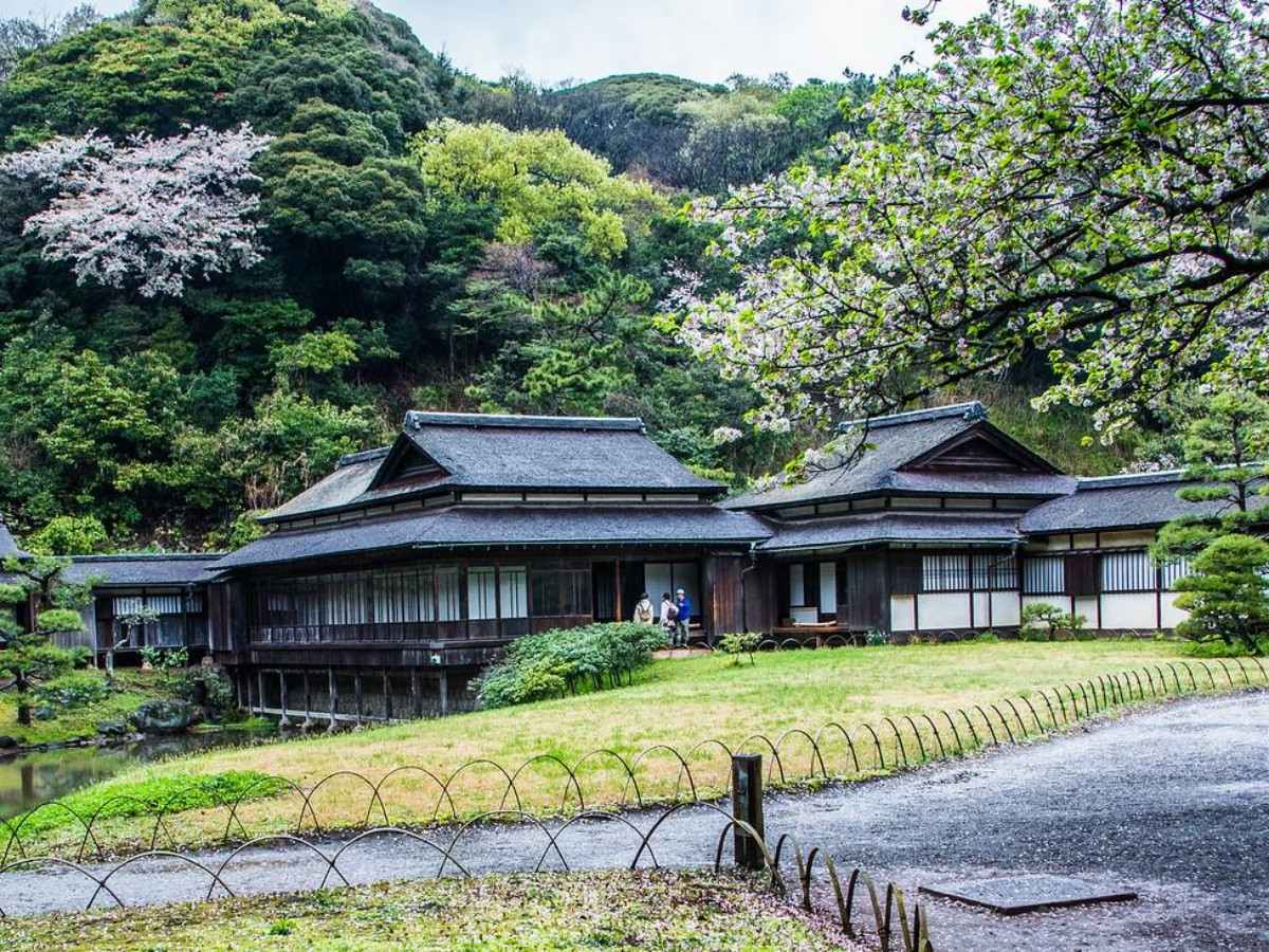 Lunch: A Teahouse in the Garden - Savor Japanese Style