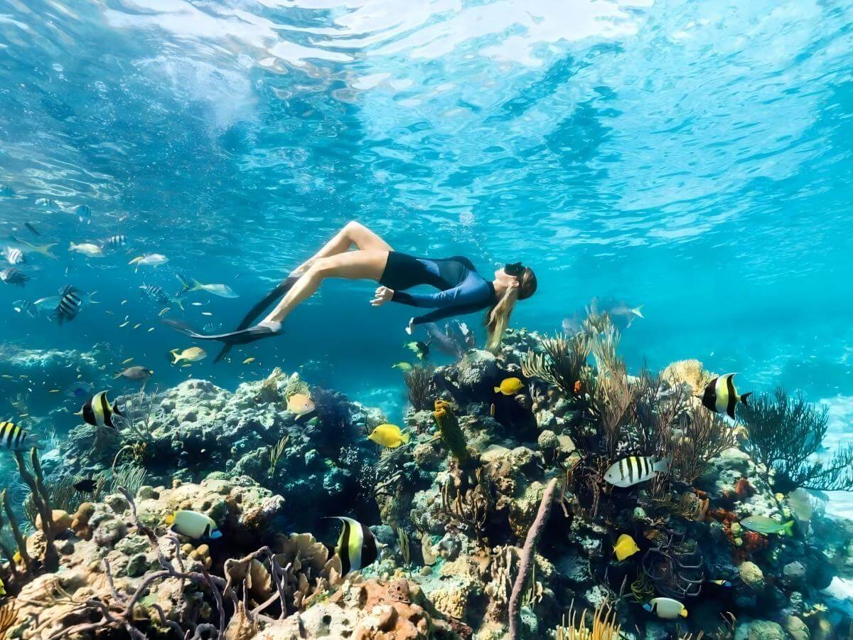 Dive for secrets, dance with fish