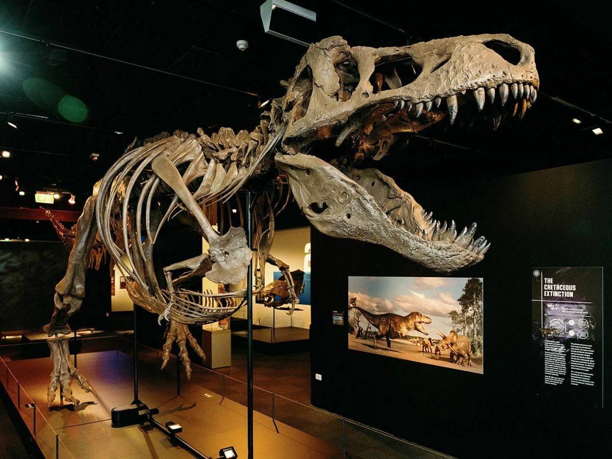 Explore New Zealand's biodiversity