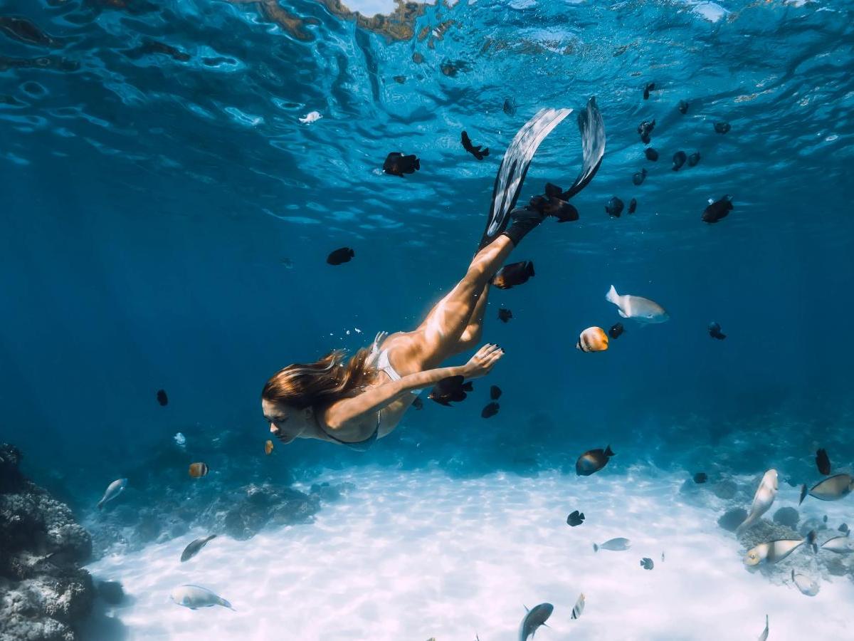 Snorkeling: A Dreamy Underwater Encounter