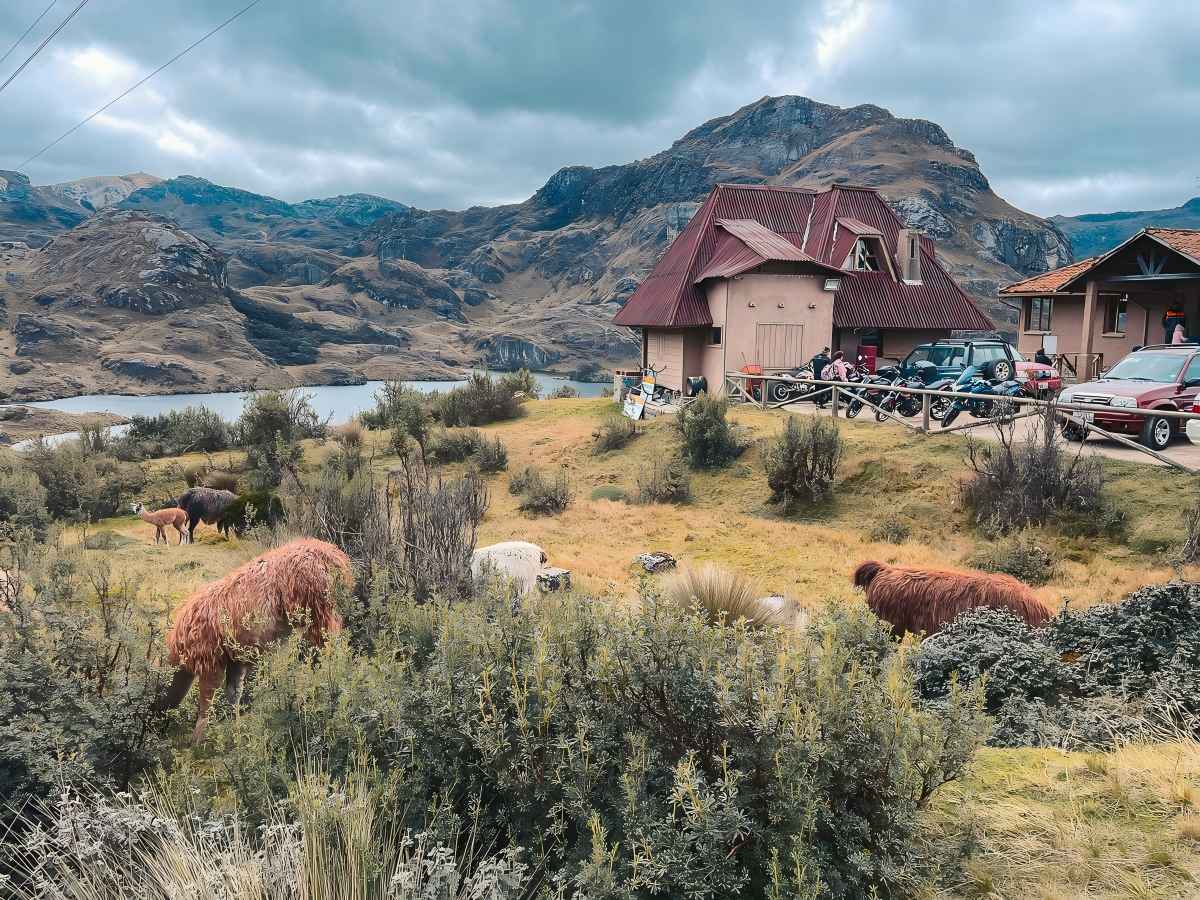 Diverse ecological wonders worth slowing down