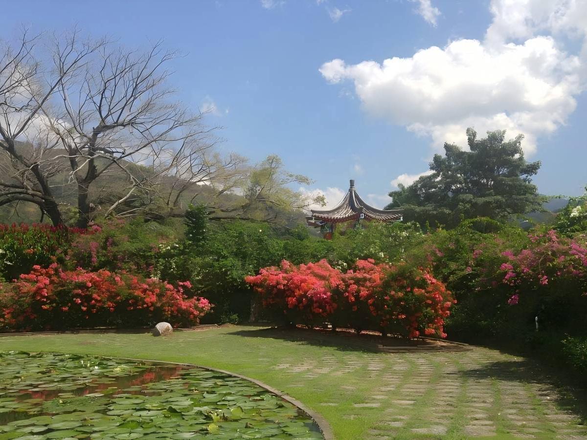 Travel Tips for a Pleasant Trip