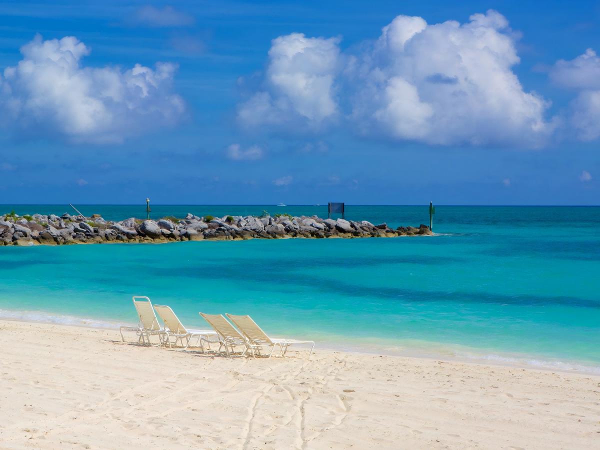 Nature: A Paradise on the Beach