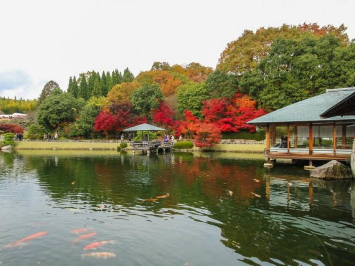 Afternoon: Nature Stroll and Romantic Scenery