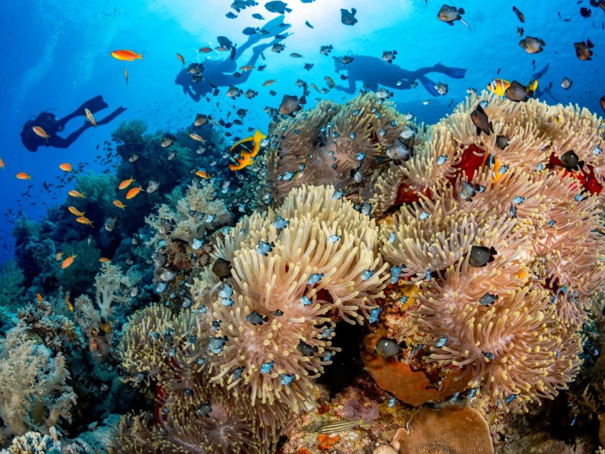 Ideal marine classroom, close to the ecology without pressure