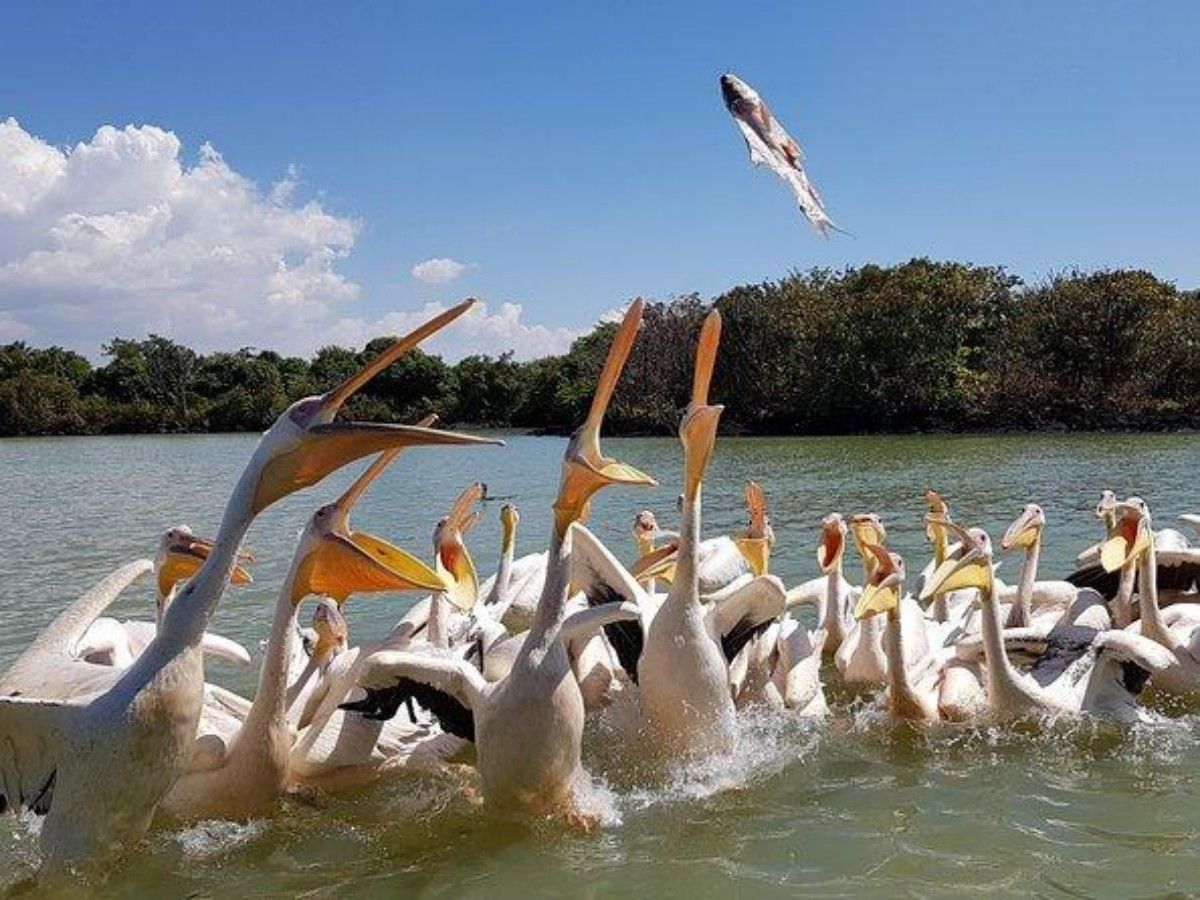 Travel Tips: Come to Lake Tana for a rest of body and mind