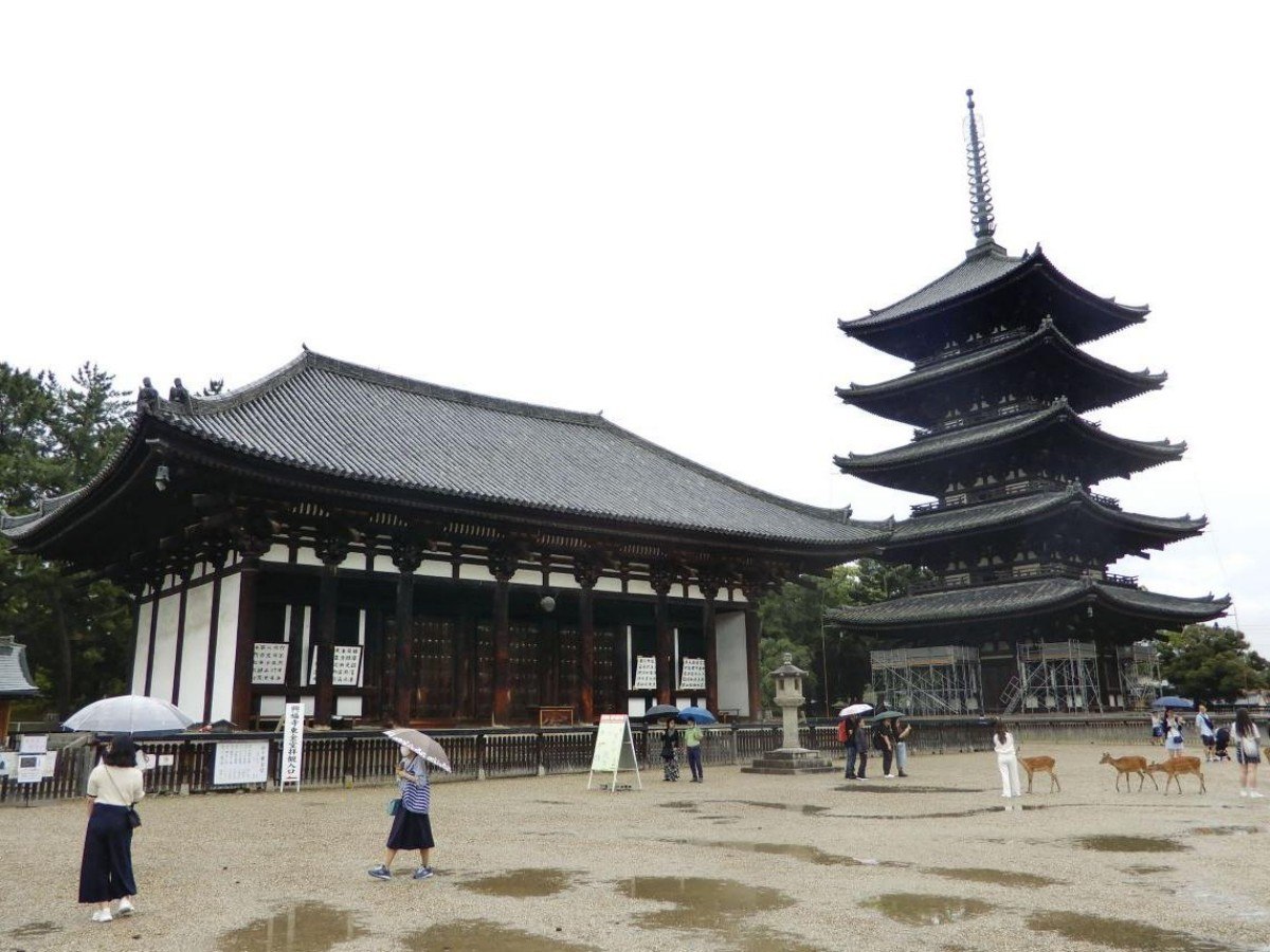 Visit the Kofuku-ji Museum