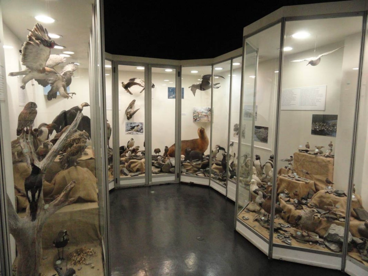 The Wonderful World of Polar Ecology