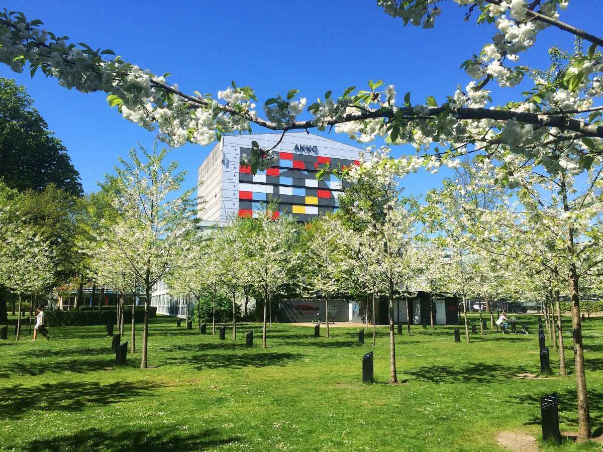 What is a "singing tree"?