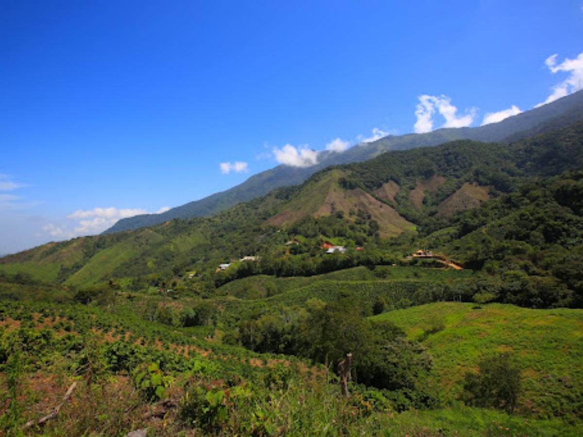 Ecotourism is booming