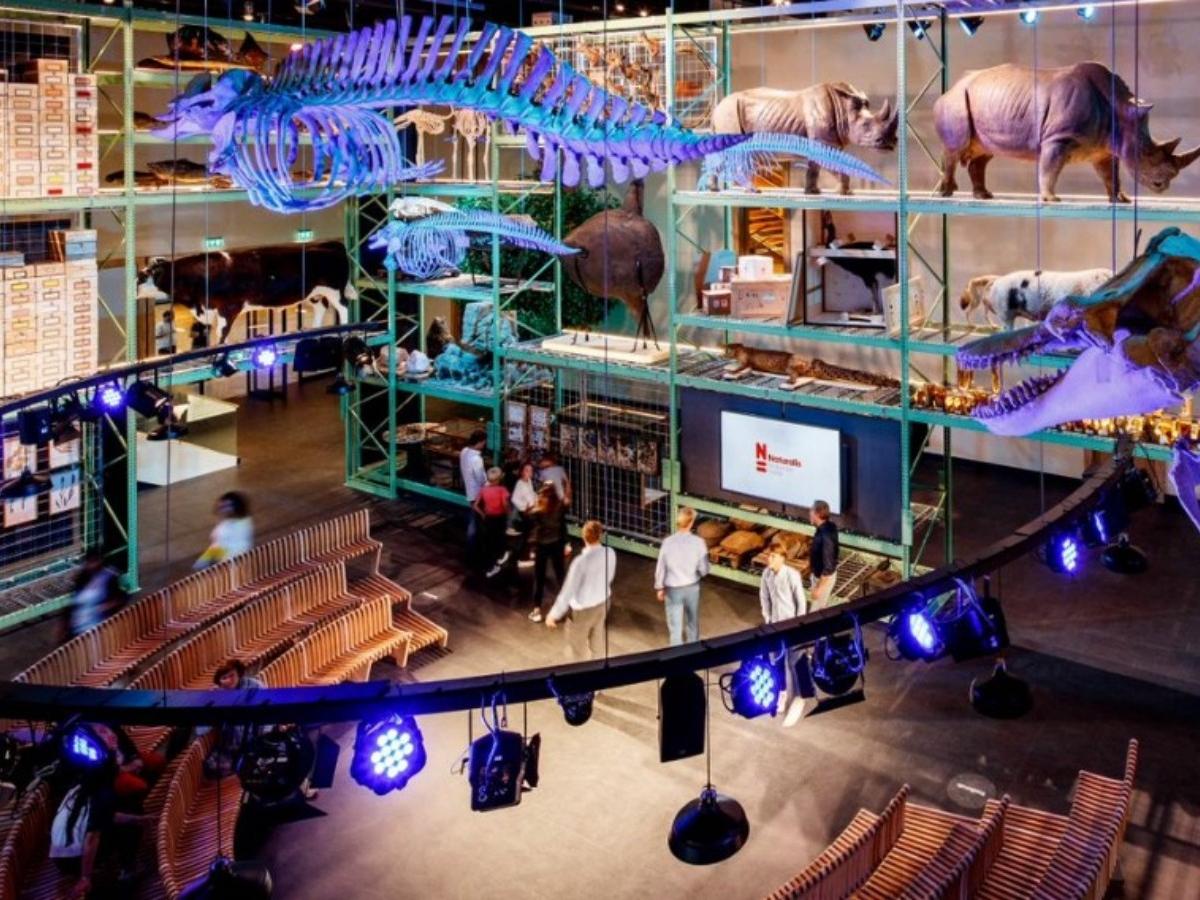 Interaction and Education: Getting Up Close and Personal with Dinosaurs