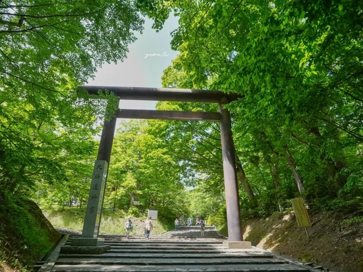 Summer Greenery: Vitality and Freshness