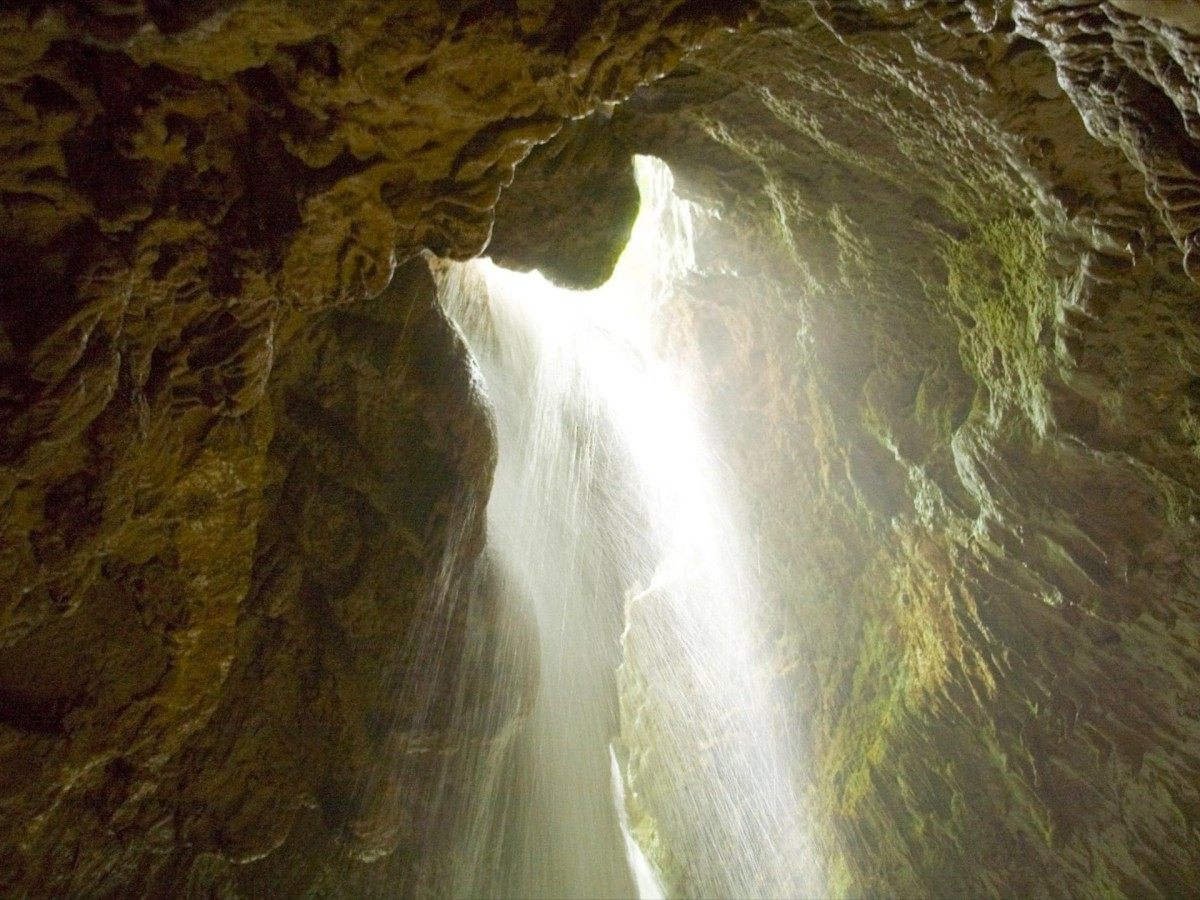 Must-do experience 1: stroll in the tropical rainforest, open a feast for the senses