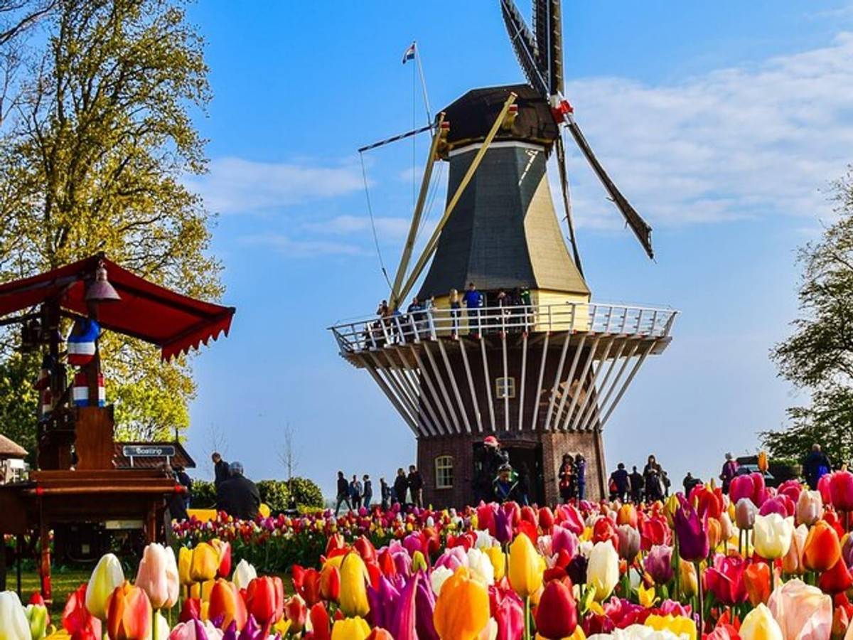 Preliminary preparation: grasp the flowering period and buy tickets easily
