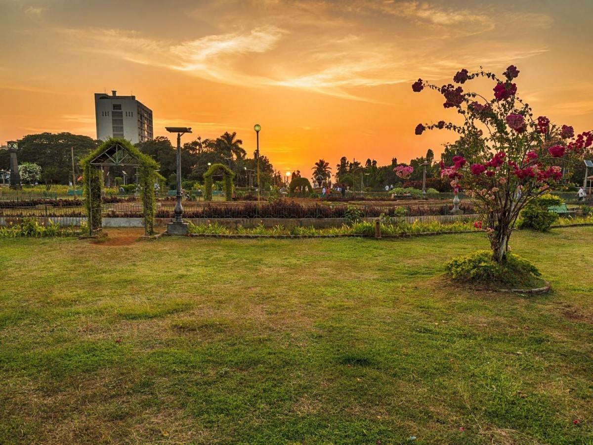 Magic moment at sunset: Golden dream on the Arabian Sea