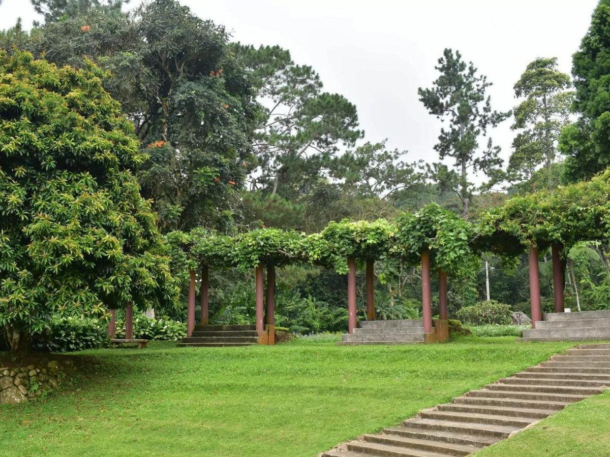 9:00 AM - Take a guided bus tour to get to know the park quickly.