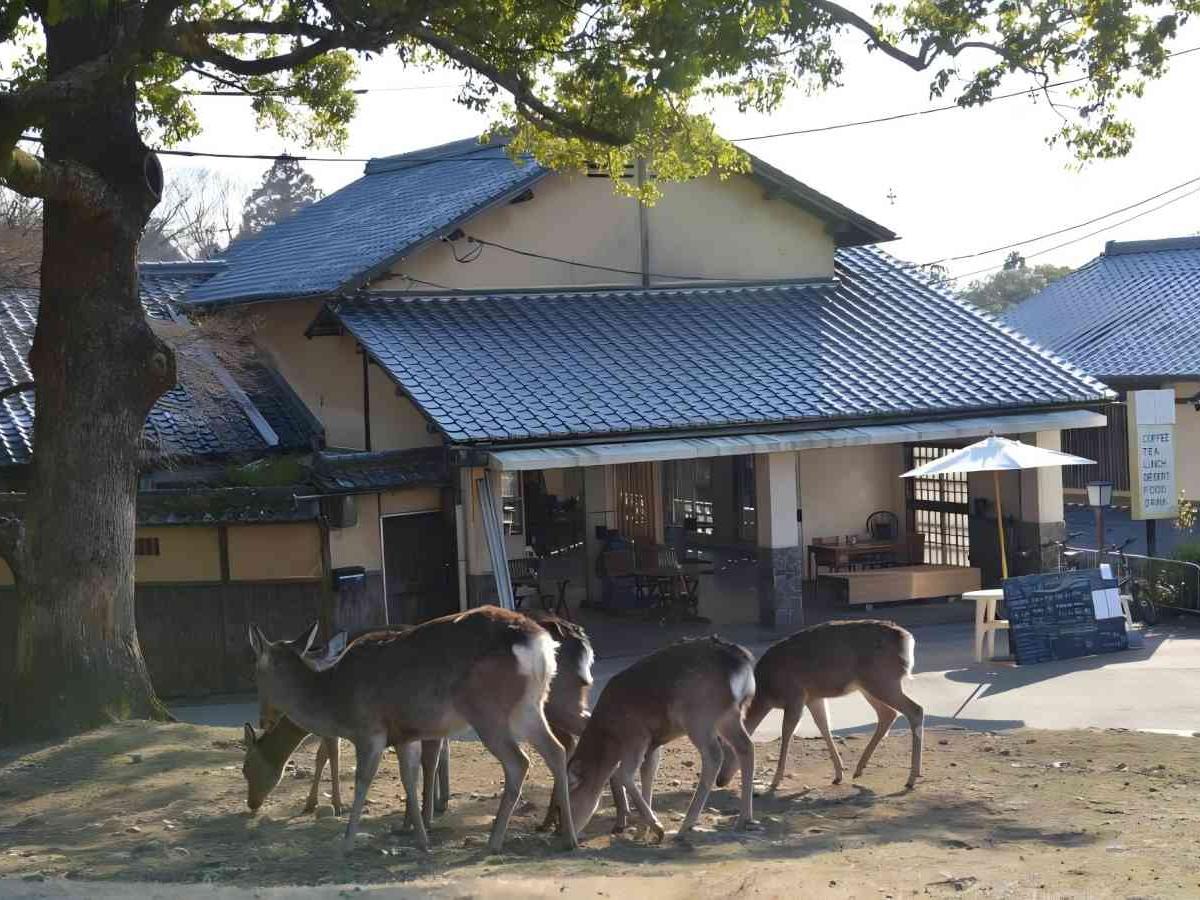 Recommended Accommodation